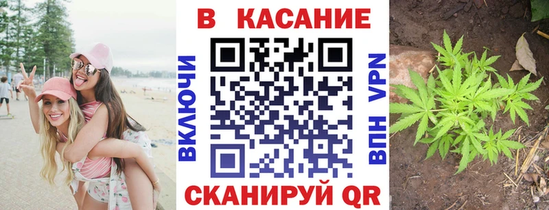 Виды наркотиков купить Анжеро-Судженск Гашиш  Галлюциногенные грибы  МЕФ  АМФ  Марихуана  A PVP 
