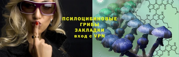 дурь Алексин