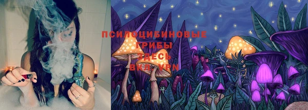 не бодяженный Алзамай
