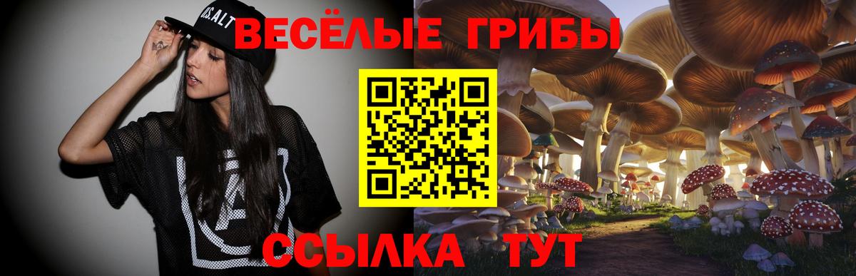 Галлюциногенные грибы ЛСД Анжеро-Судженск
